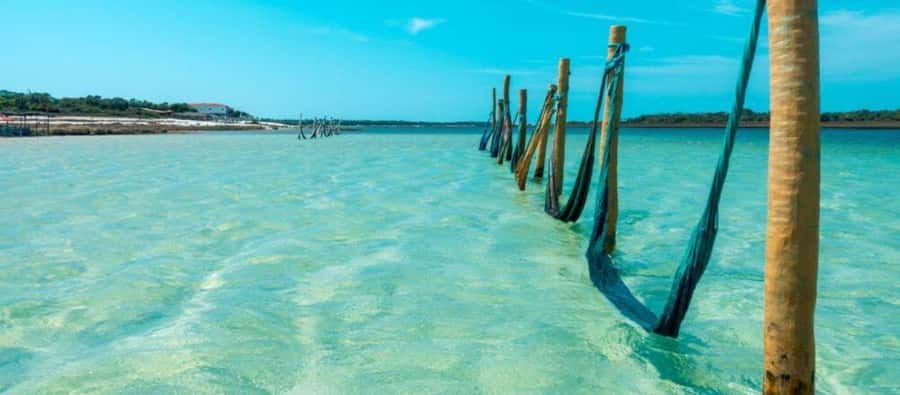 From Jericoacoara: Preá Beach and Paradise Lagoon Tour - Caiçara Blue Hole: beautiful water, extra-cost questions