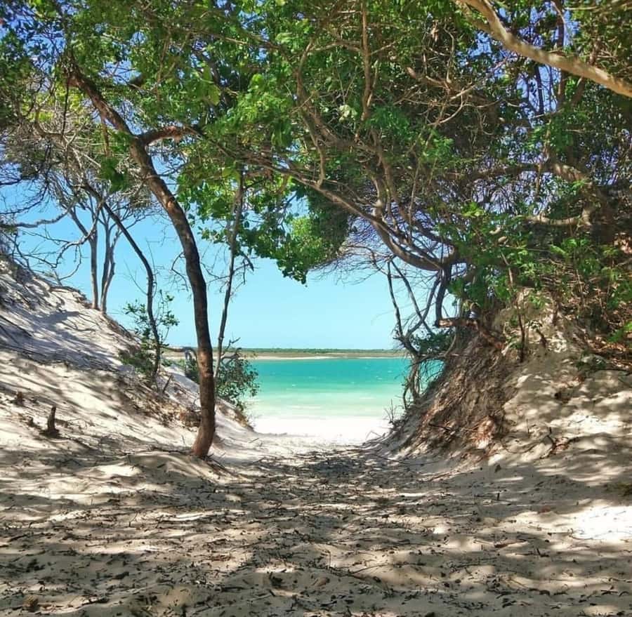 From Jericoacoara: Preá Beach and Paradise Lagoon Tour - Sand dunes and the final photographs