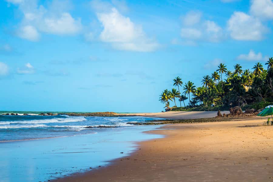 From João Pessoa: Full-Day Southern Coast Beaches Tour - Key points at a glance