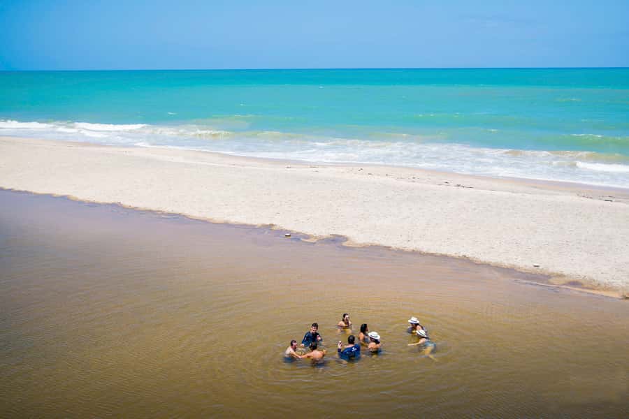 From João Pessoa: Full-Day Southern Coast Beaches Tour - What this southern coast day is really like