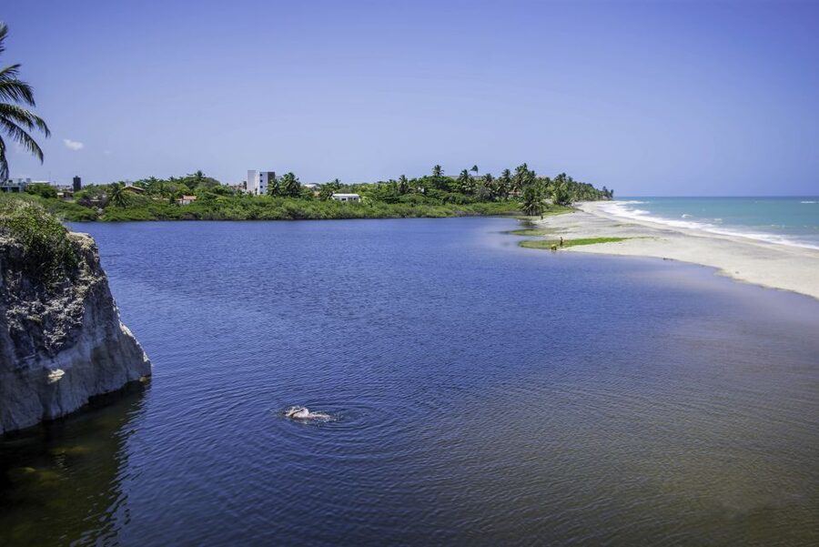 From João Pessoa: Full-Day Southern Coast Beaches Tour - The guide can shape the whole experience
