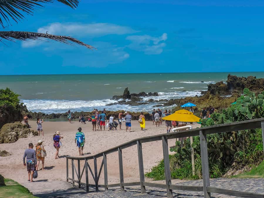 From João Pessoa: Full-Day Southern Coast Beaches Tour - Is $177 a fair price?