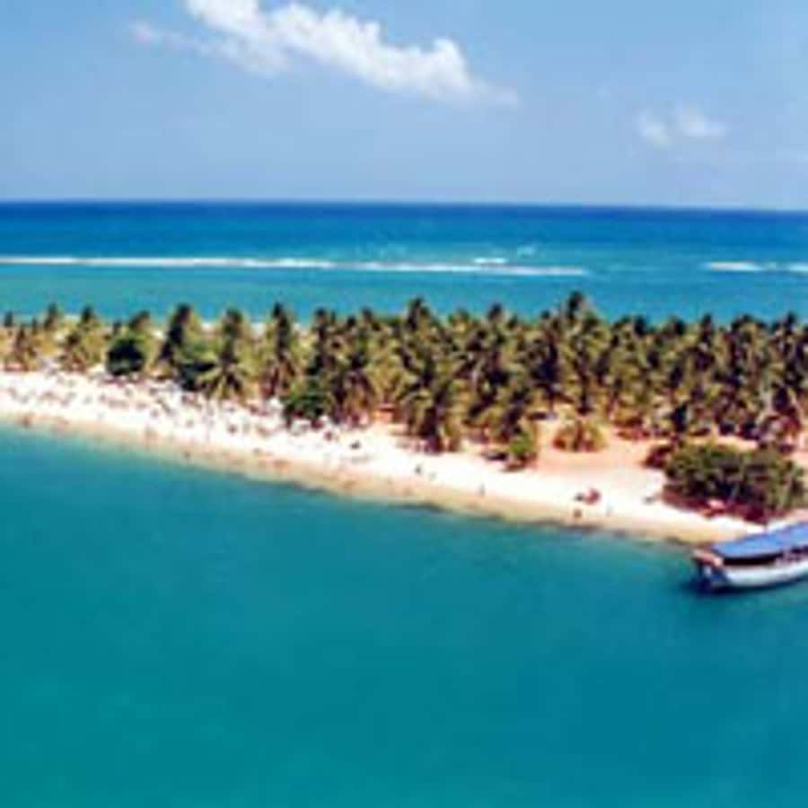 From Maceio: Gunga Beach & Full-Day Tour - Key points to know before booking