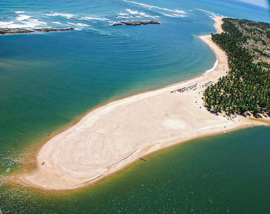 From Maceio: Gunga Beach & Full-Day Tour - How much value do you get for $19?