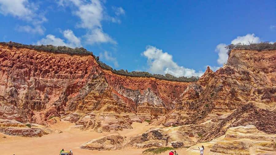 From Maceio: Gunga Beach & Full-Day Tour - Who will enjoy this tour most?