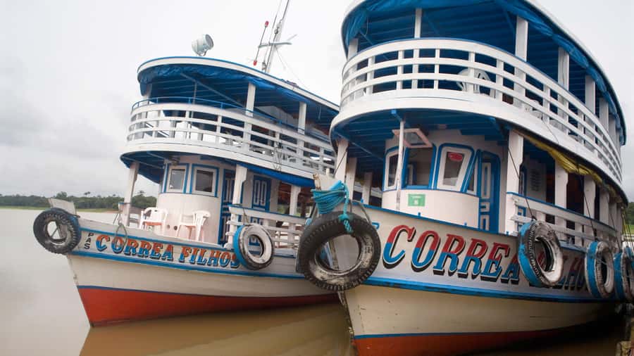 From Manaus: 3 or 4-Day Rio Negro & Anavilhanas River Cruise - Day 1: Janauri Ecological Park and Acajatuba Lake