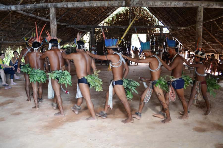 From Manaus: 3 or 4-Day Rio Negro & Anavilhanas River Cruise - The 4-day route: canoe wildlife and jungle skills