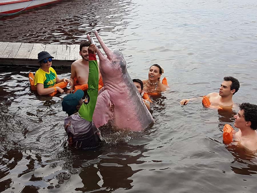 From Manaus: 3 or 4-Day Rio Negro & Anavilhanas River Cruise - Food, drinks, and the daily rhythm