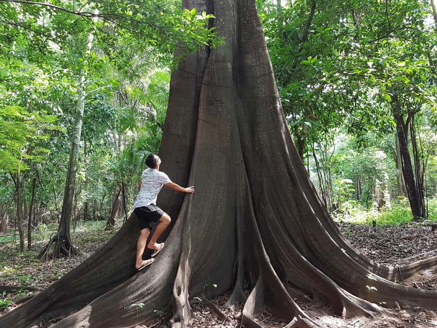From Manaus: 3 or 4-Day Rio Negro & Anavilhanas River Cruise - Where the experience can go wrong