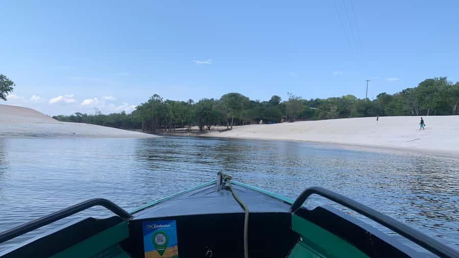 From Manaus: Negro River Half-Day Trip - Who Will Enjoy This Experience Most?