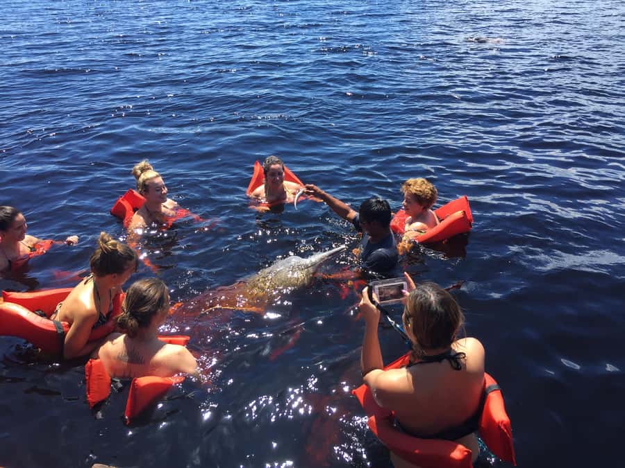 From Manaus: Negro River Half-Day Trip - Entering The River With Pink Dolphins
