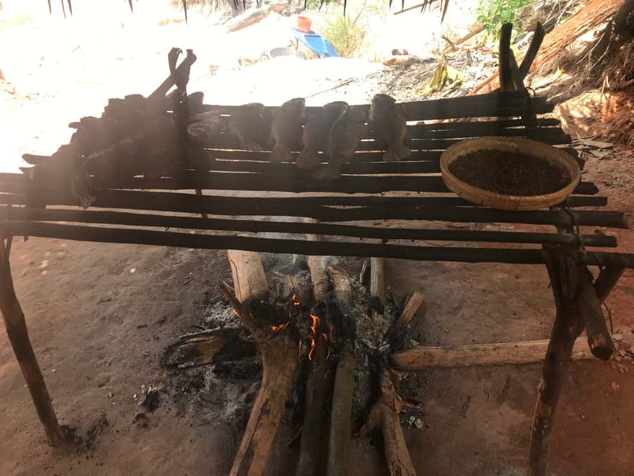 From Manaus: Negro River Half-Day Trip - Warm Water And White Sand On The Negro River