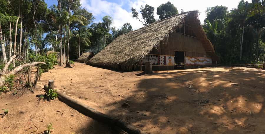 From Manaus: Negro River Half-Day Trip - What To Pack For This River Morning