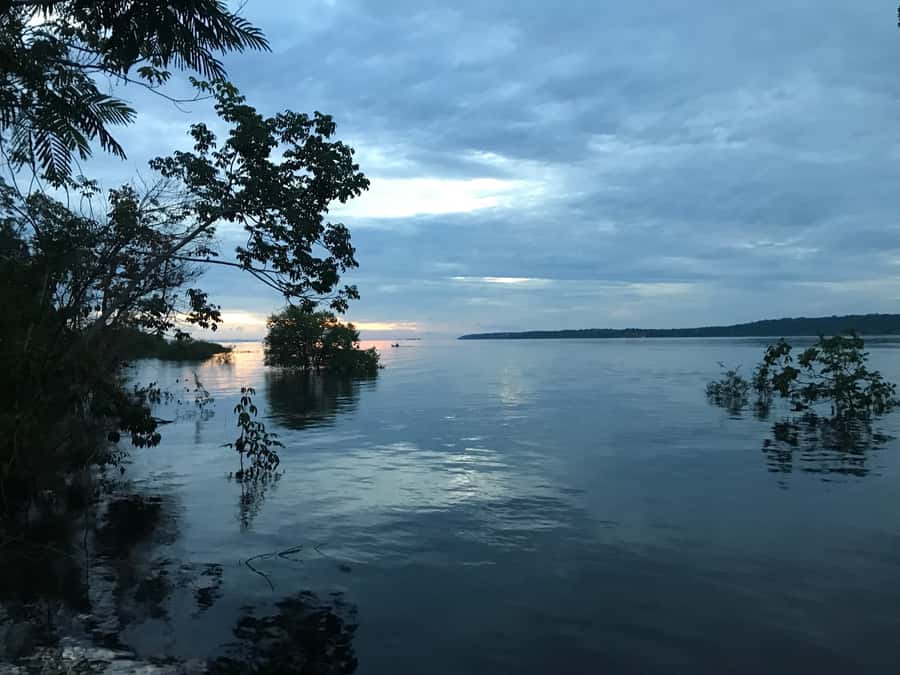 From Manaus: One-Day Amazon Jungle Experience - Five reasons this Amazon day trip earns attention