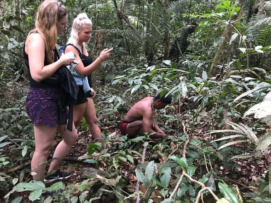 From Manaus: One-Day Amazon Jungle Experience - Piranha fishing through the flooded forest