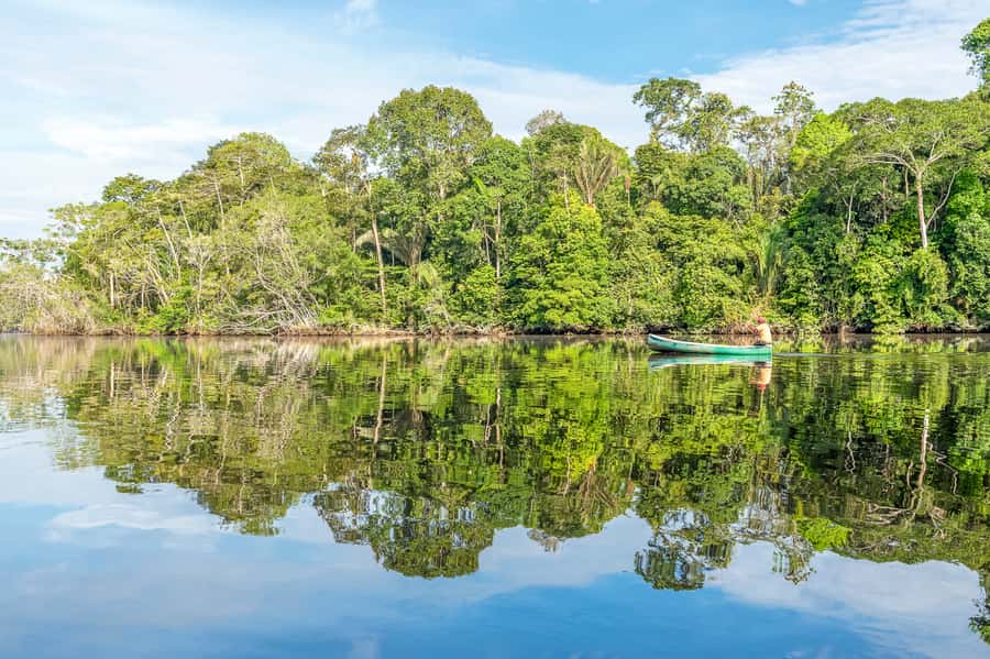 From Manaus: One-Day Amazon Jungle Experience - Who should book it, and who should choose another plan?