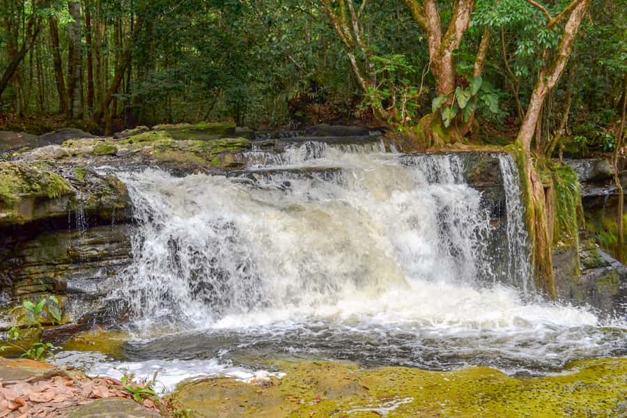 From Manaus: Presidente Figueiredo Waterfalls Daytrip - Guides, driving, and day-to-day organization