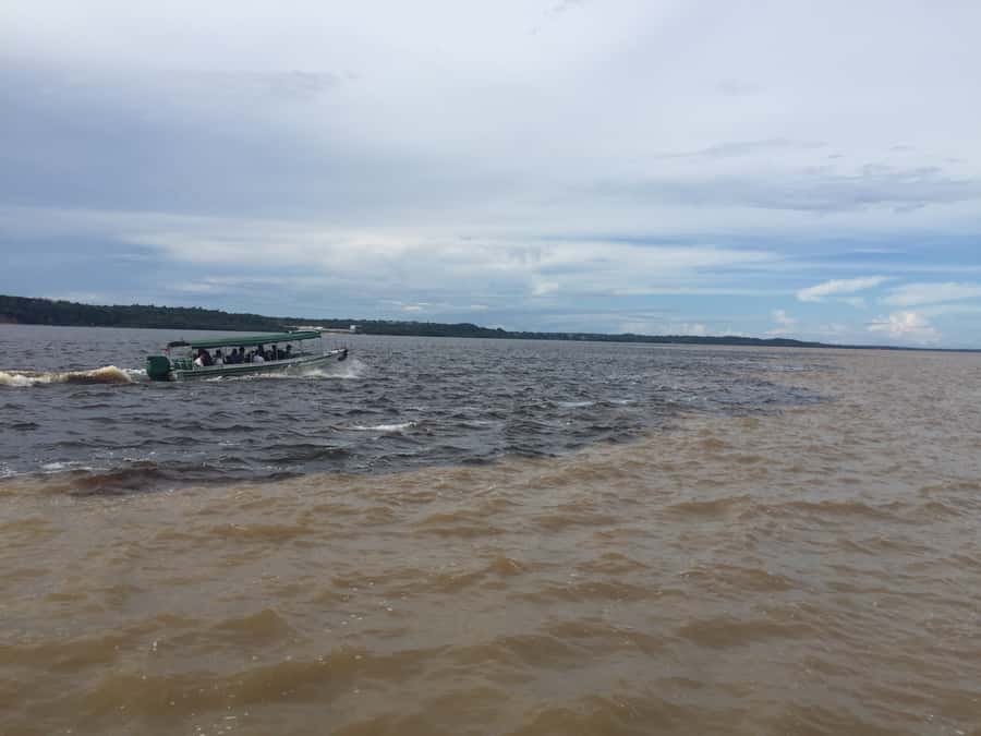 From Manuas: Full-Day River Tour - Who will enjoy this Amazon day most?