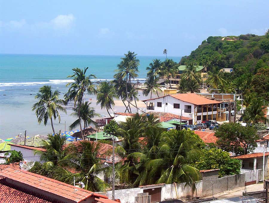 From Natal: Pipa, Cacimbinhas, And Love Beach Full-Day Tour - Key points to know before you go