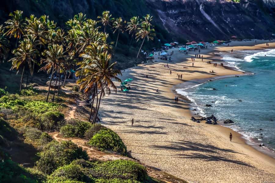 From Natal: Pipa, Cacimbinhas, And Love Beach Full-Day Tour - Madeiro Beach: your first swim