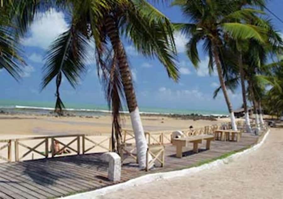 From Natal: Pipa, Cacimbinhas, And Love Beach Full-Day Tour - Love Beach, waves, and natural pools
