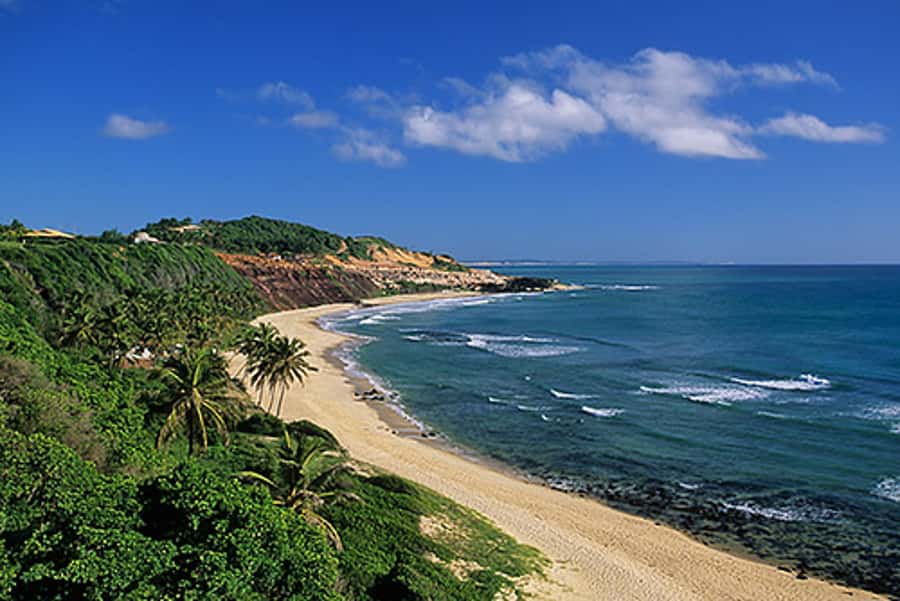 From Natal: Pipa, Cacimbinhas, And Love Beach Full-Day Tour - The ride from Natal to Tibau do Sul