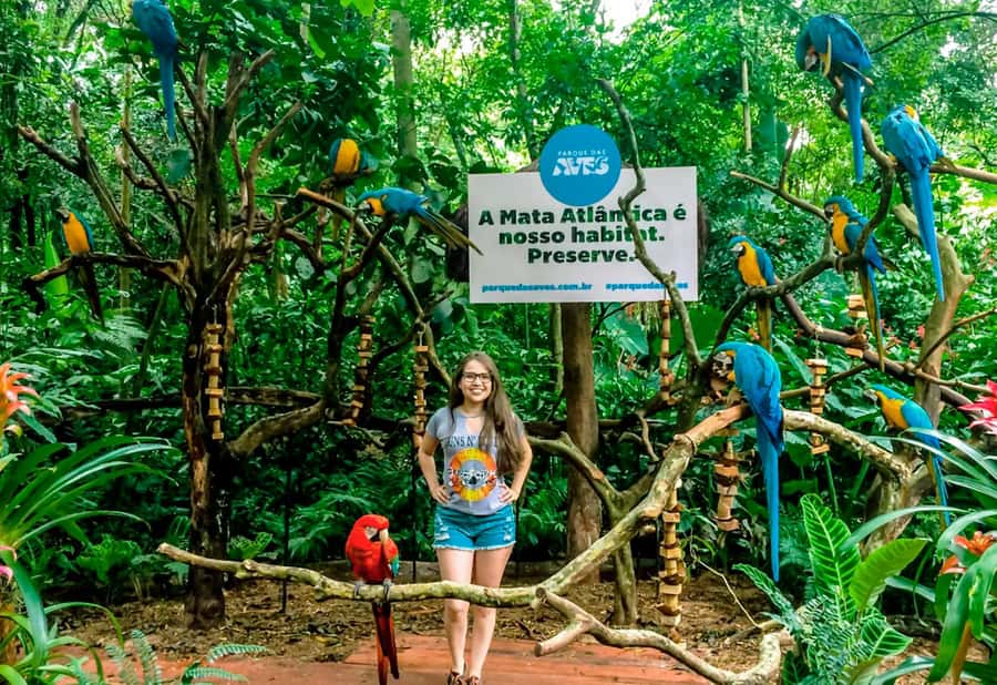 From Puerto Iguazú: Brazilian Bird Park Tour with Tickets - Who should book this experience?