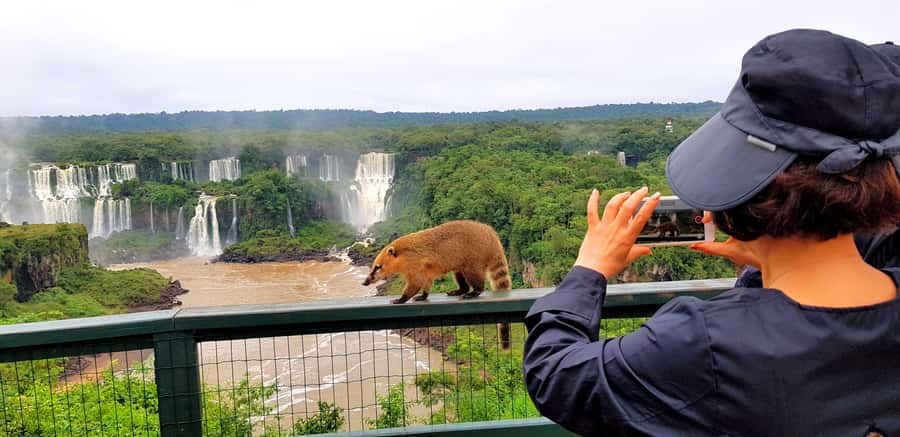 From Puerto Iguazu: Brazilian Falls with Boat Adventure - Key details before you book