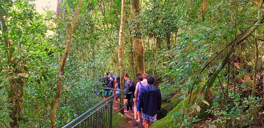 From Puerto Iguazu: Brazilian Falls with Boat Adventure - Is $256 a fair price?