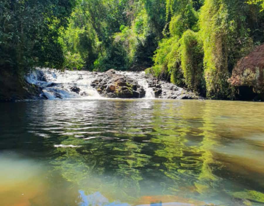 From Puerto Iguazu: Secret Falls Adventure - The short ride and trailhead