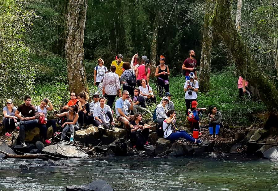 From Puerto Iguazu: Secret Falls Adventure - Five waterfalls and a natural jacuzzi
