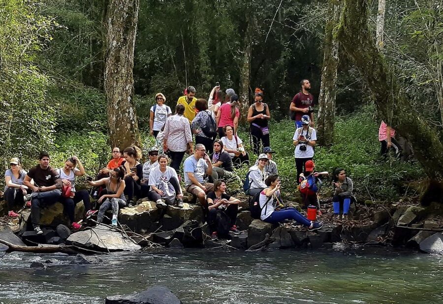 From Puerto Iguazu: Secret Falls Adventure - Who will enjoy this most