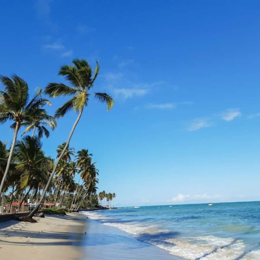 From Recife : Carneiros Beach - Carneiros Beach tour at a glance