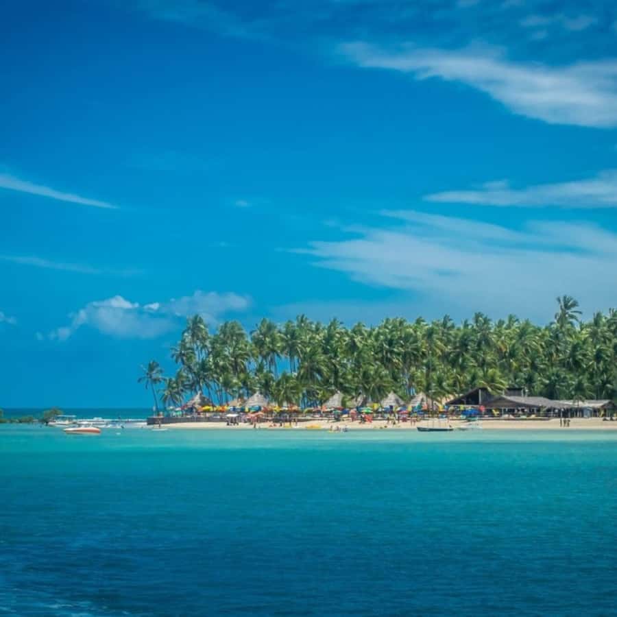 From Recife : Carneiros Beach - The ride from Recife to Pernambuco’s coast
