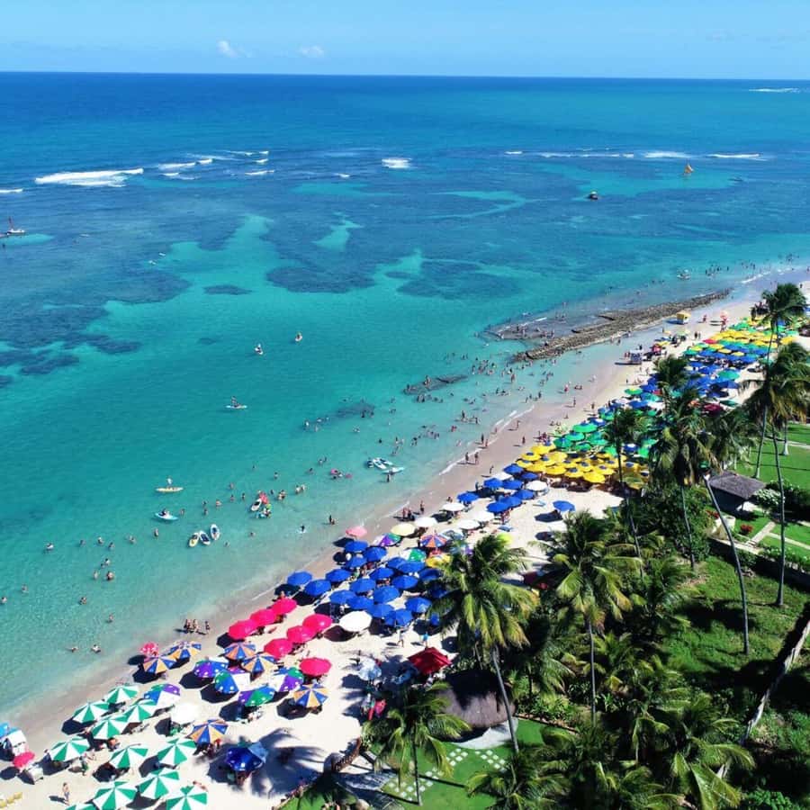 From Recife : Tour for Porto de Galinhas - Key points at a glance