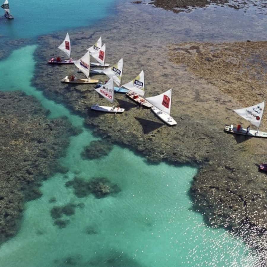 From Recife : Tour for Porto de Galinhas - Getting there from Boa Viagem and Piedade