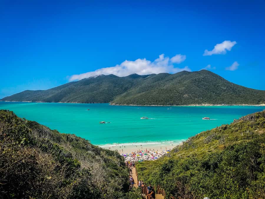 From Rio: Arraial do Cabo Day Trip with Boat Tour - The long road from Rio to the Sun Coast