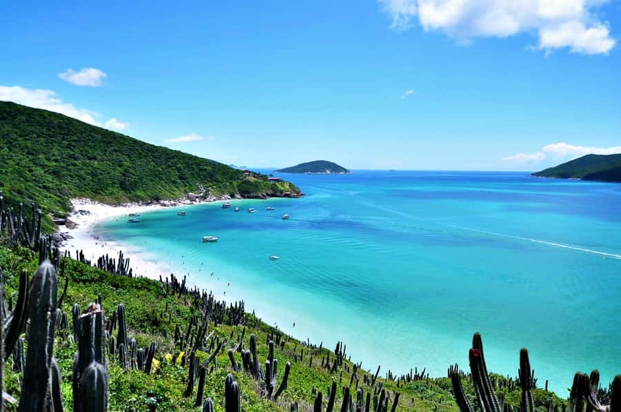 From Rio: Arraial do Cabo - The Brazilian Caribbean Daytrip - Key points to know before booking