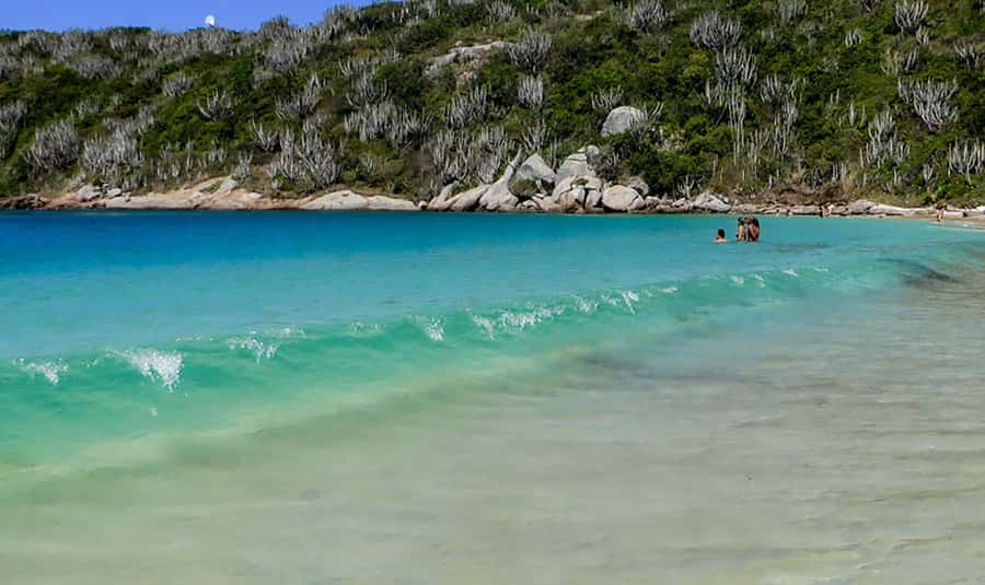 From Rio de Janeiro: Arraial do Cabo Island Day Trip - Weather, timing, and the land alternative