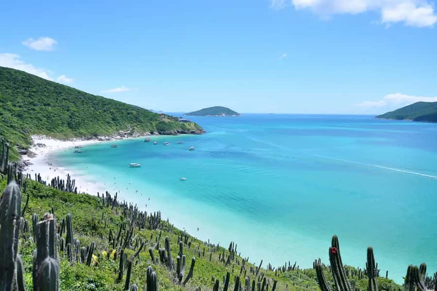 From Rio de Janeiro: Arraial do Cabo Island Day Trip - The long bus transfer to Região dos Lagos