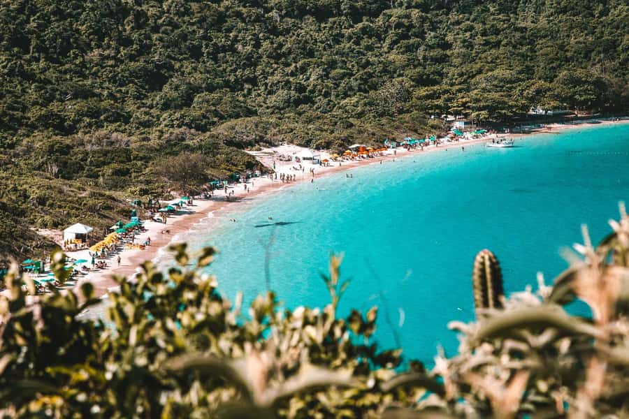 From Rio de Janeiro: Arraial do Cabo Island Day Trip - The guides make a real difference