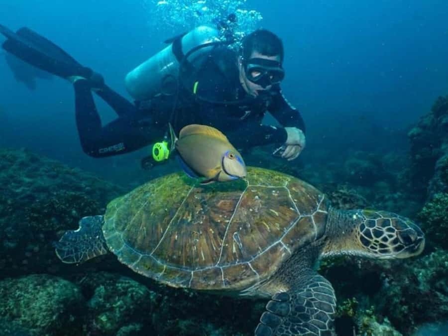 from Rio de Janeiro: Diving in Buzios - The return schedule needs careful attention