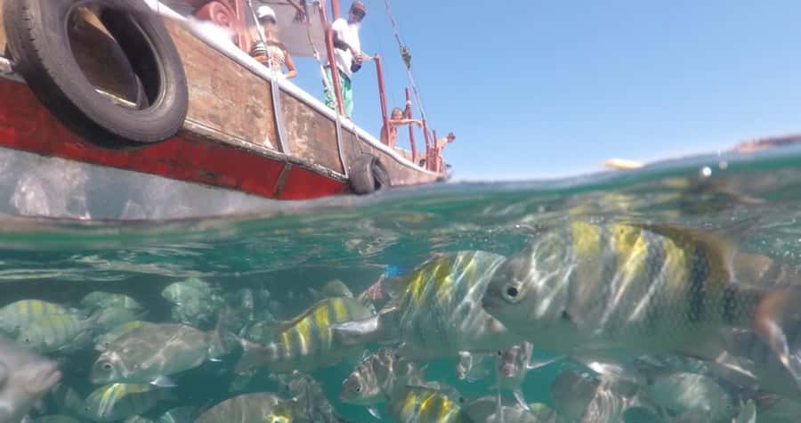 From Rio de Janeiro: Ilha Grande Day Trip - Two popular beaches, with sun and crowds
