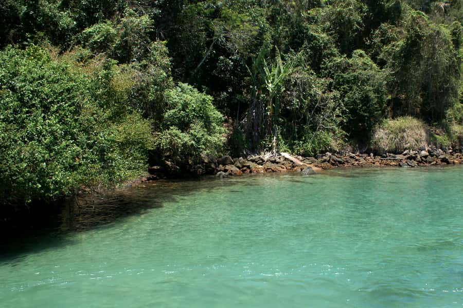 From Rio: Full-Day Angra dos Reis Cruise & Island Tour - Guide languages and the group atmosphere