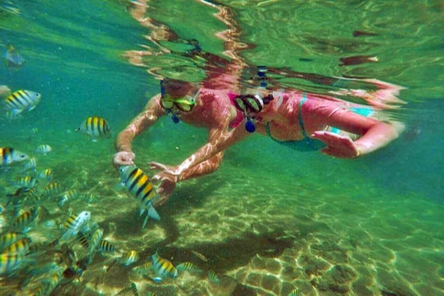 From Salvador: Praia do Forte & Guarajuba Beach Daytrip - Understanding the turtle sanctuary