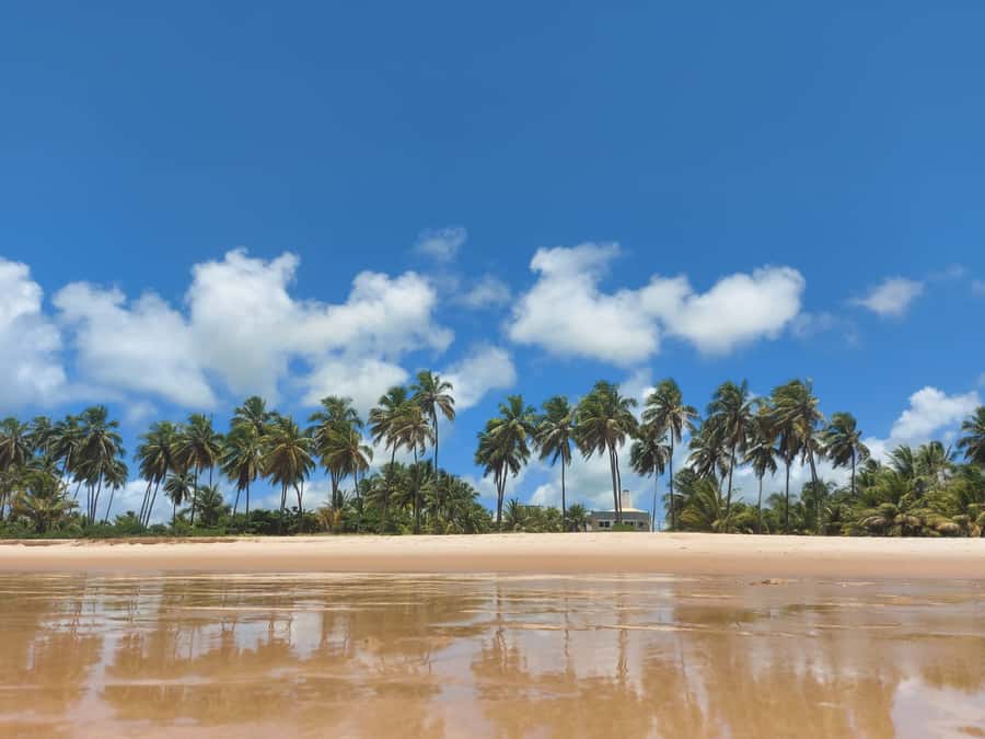 From Salvador: Praia do Forte & Guarajuba Beach Daytrip - Guarajuba Beach and the three-hour lunch break