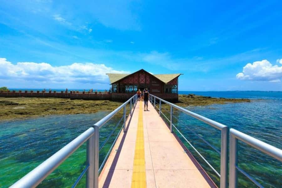 From Salvador: Schooner Tour to Frades Island - Key points to know before you book