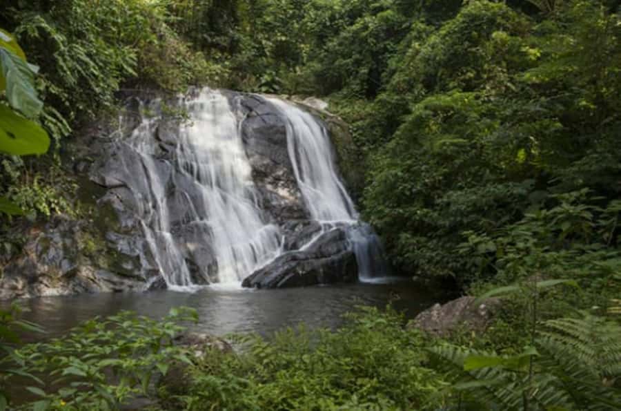 From São Paulo: Private Tour of Atlantic Forest & Valleys - Should you book this Atlantic Forest tour?