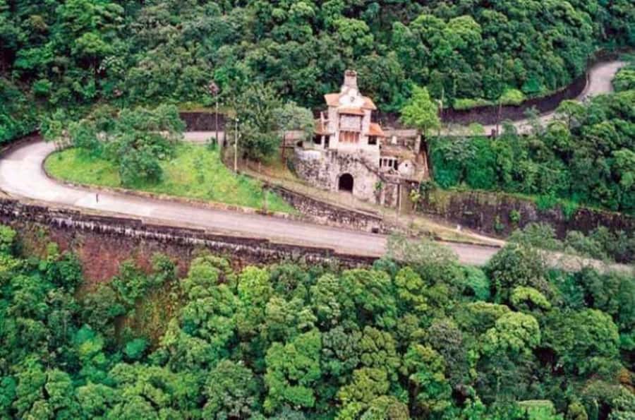 From São Paulo: Private Tour of Atlantic Forest & Valleys - Walking Calçada do Lorena, Brazils old route to the sea