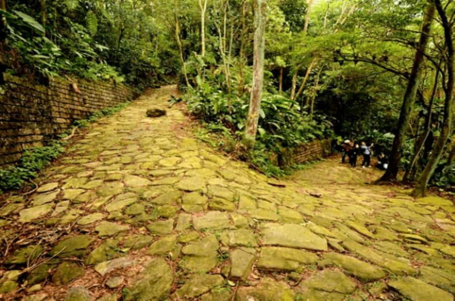 From São Paulo: Private Tour of Atlantic Forest & Valleys - Why the private format matters